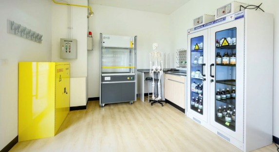 Lab Chemical Storage Cabinets